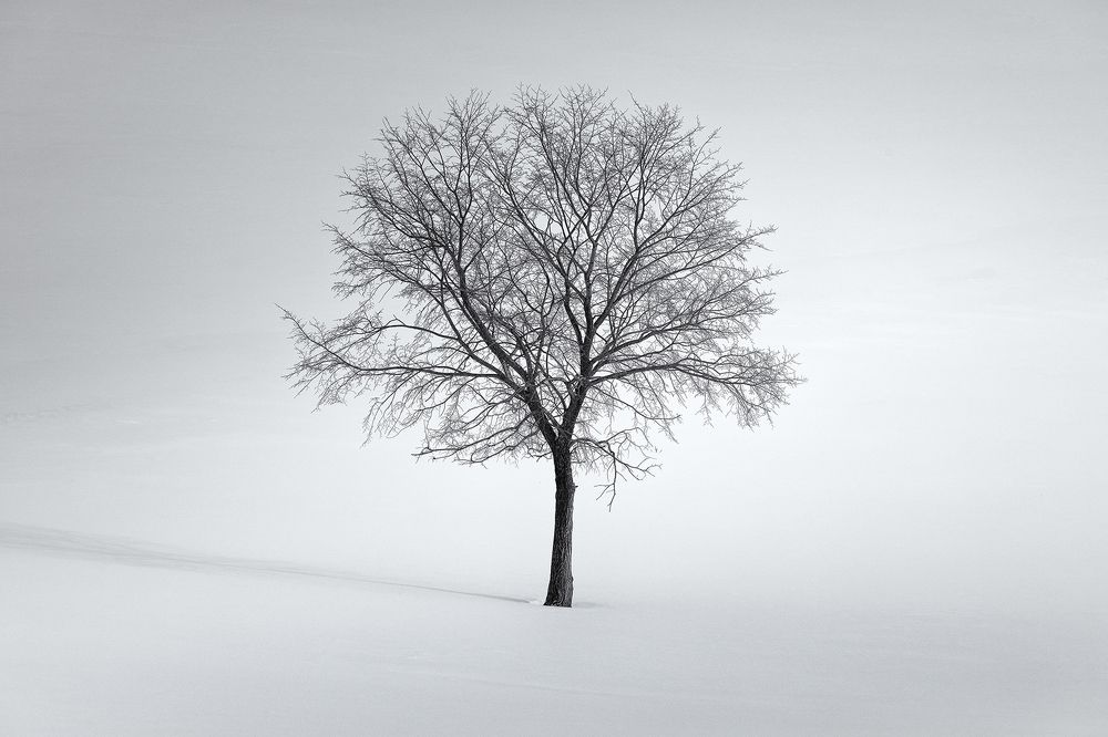 Photograph by Татьяна Бирюкова