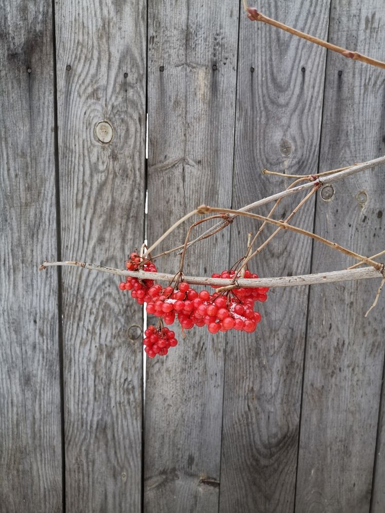 Photograph by Александр