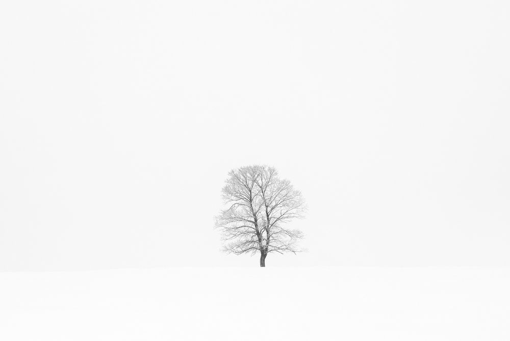 Photograph by Татьяна Бирюкова