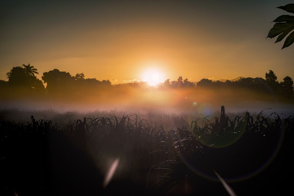 Photograph by Darry The photographer