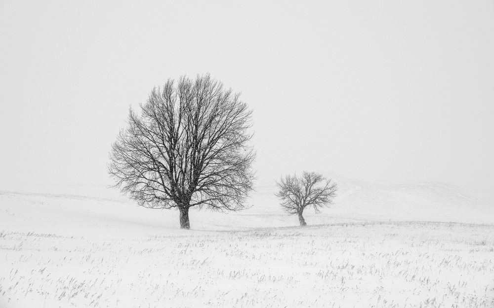Фотография автора  Евгений