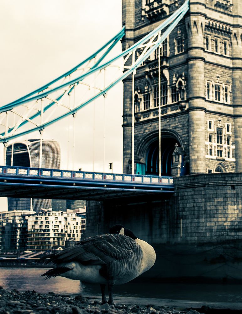 Photograph by Nathan Benham