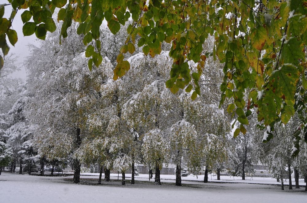 Photograph by Заурбек Шахмурзаев