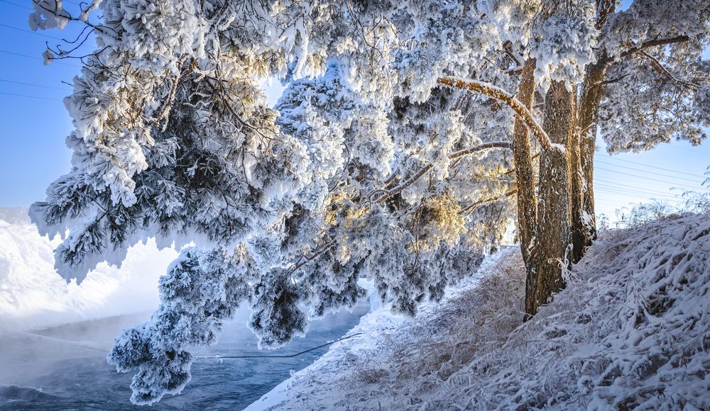 Photograph by Евгений Кузьмин