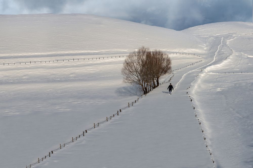 Photograph by Bahir DIBEKOGLU