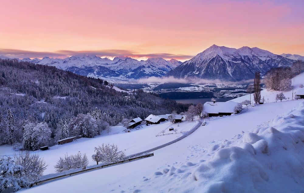 Photograph by Elena Wymann