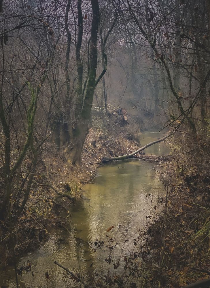 The stream in shades of winter