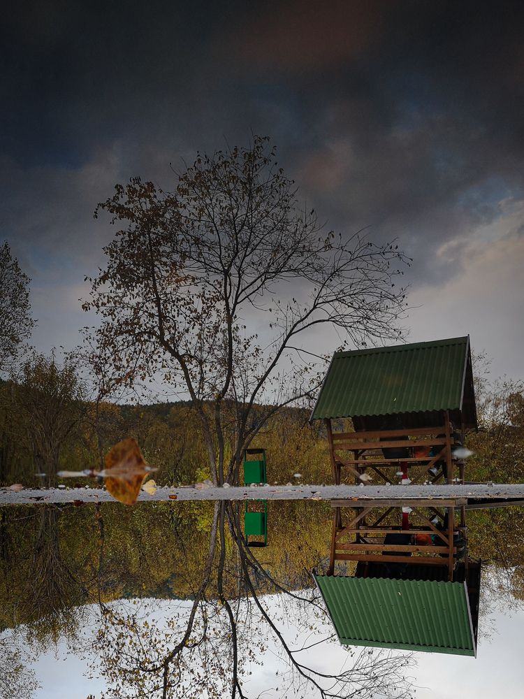 Photograph by Мотина Екатерина