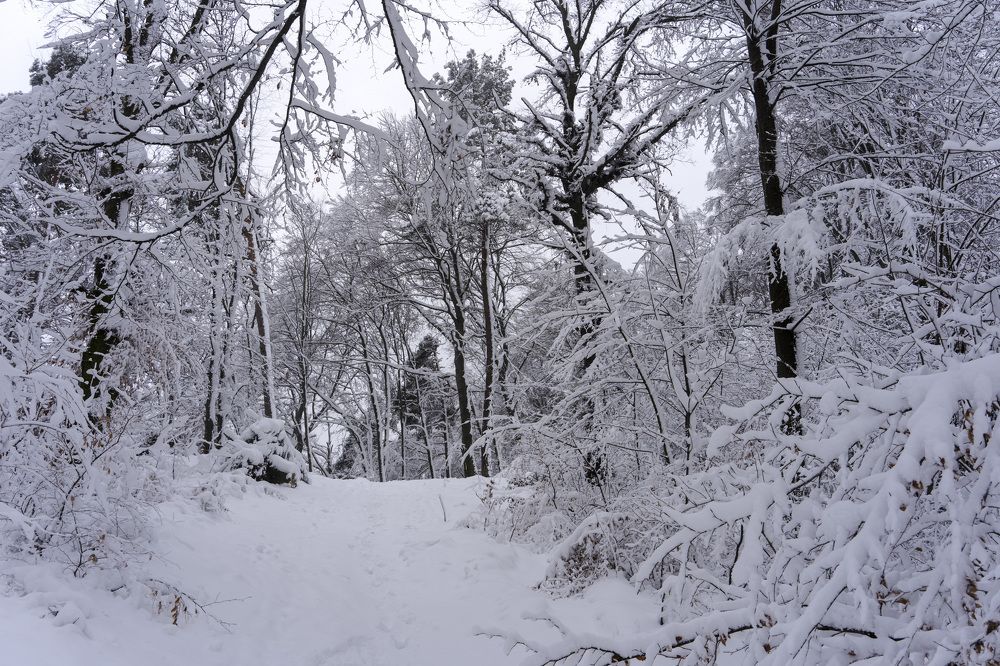 Photograph by Олесь