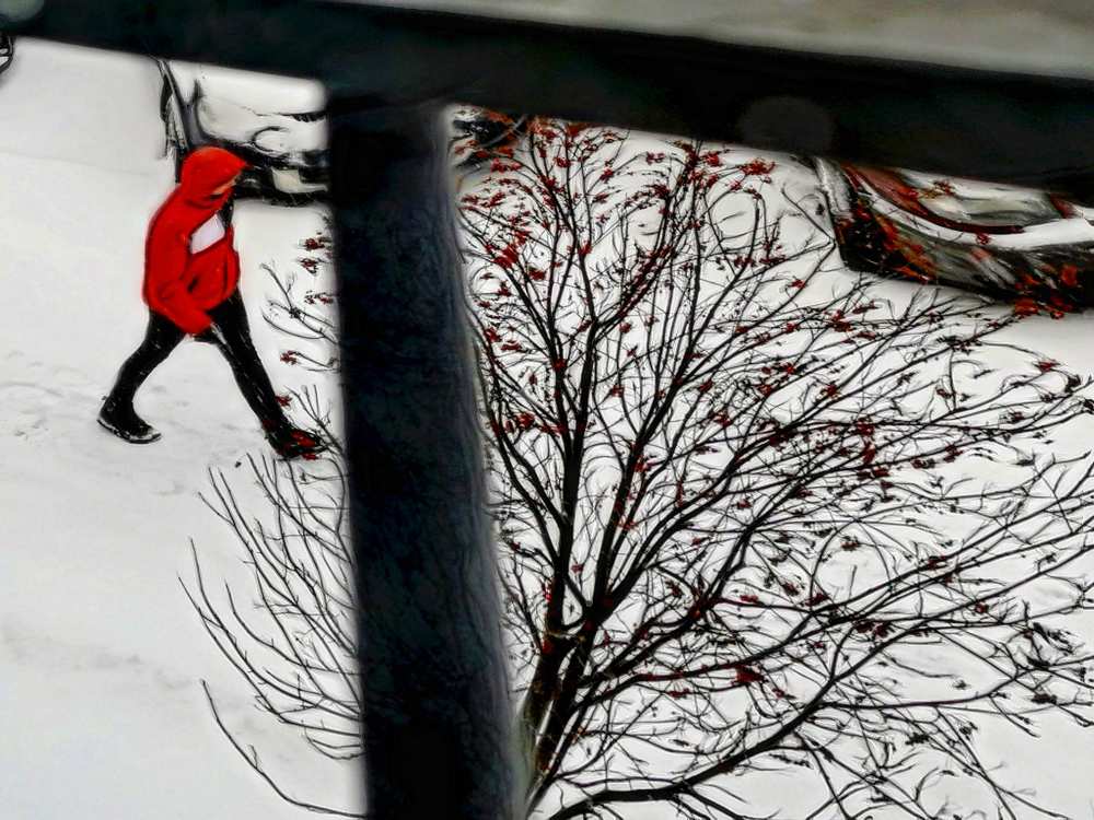 Фотография автора Павел Барский