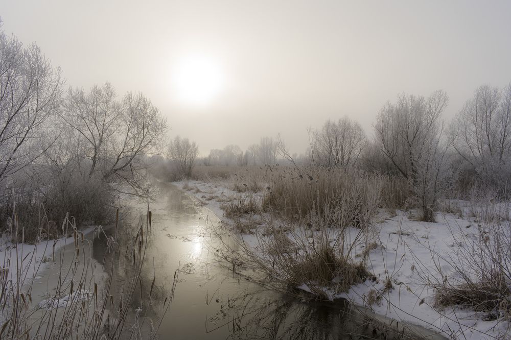 Photograph by Олесь