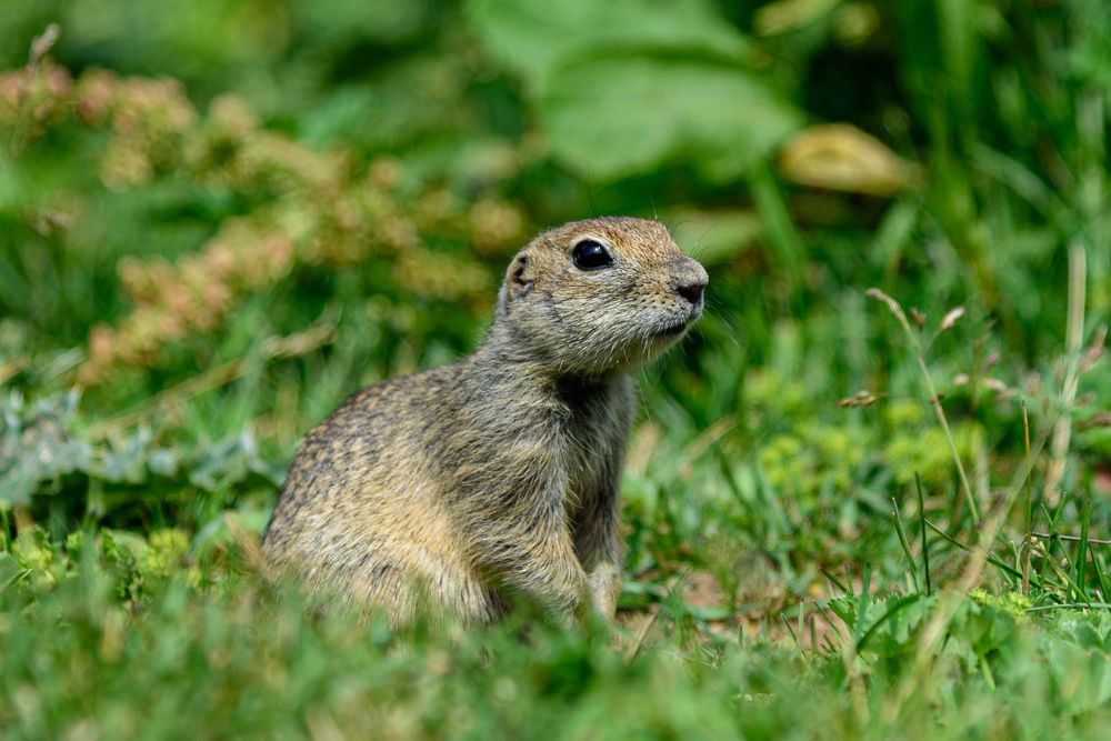 Photograph by Антон Бойков