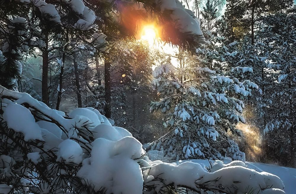 Photograph by Epp Tappel