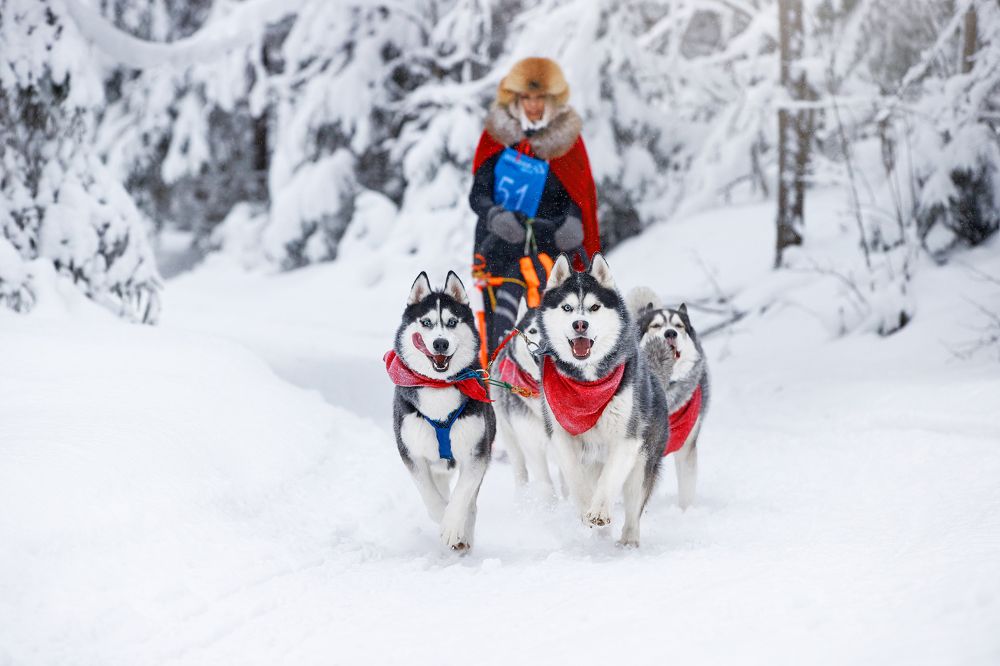 Photograph by Лана Полякова