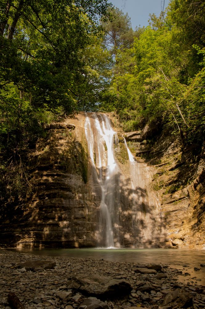 Фотография автора Елена Ельшина