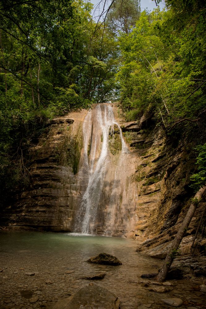 Фотография автора Елена Ельшина