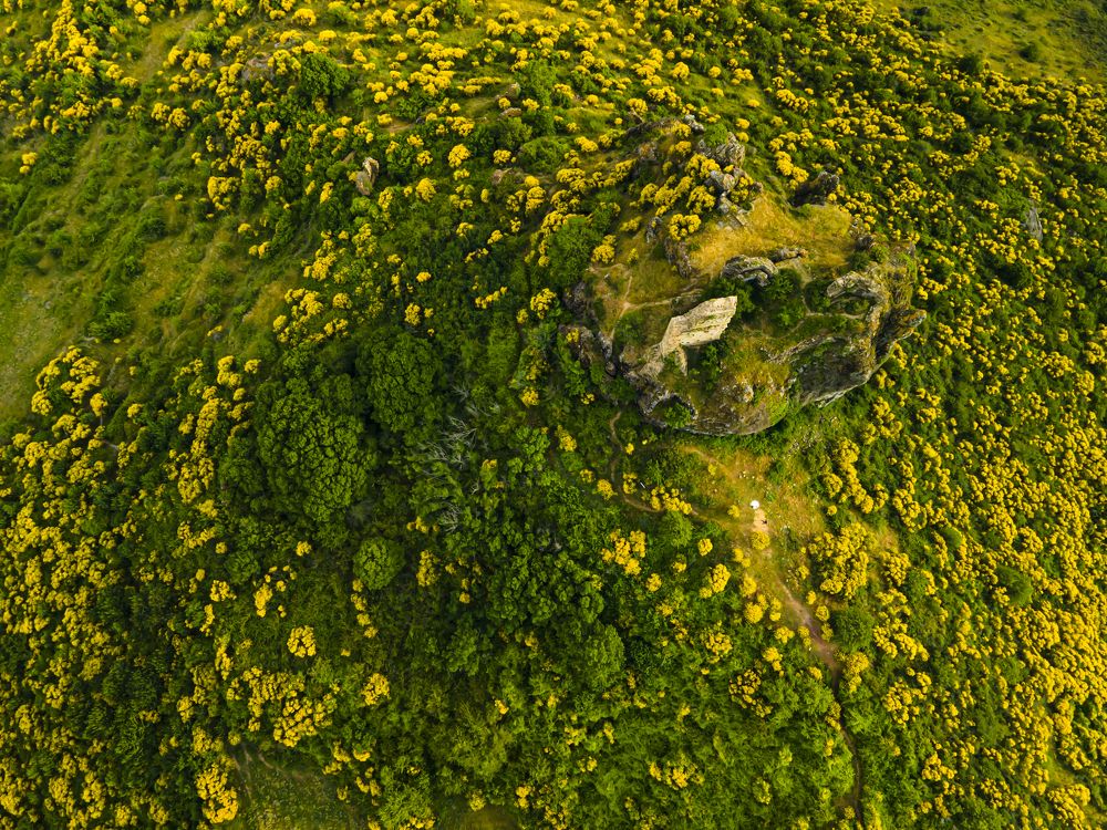 Photograph by stefanini alexis