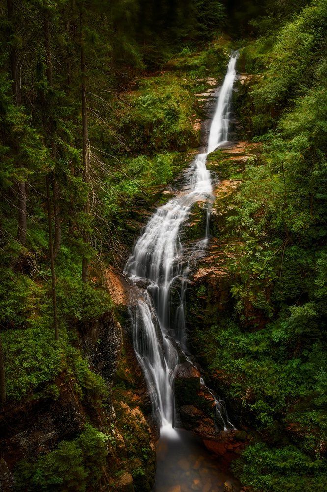 Photograph by Tomasz Szczesny