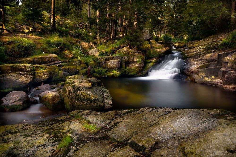 Photograph by Tomasz Szczesny