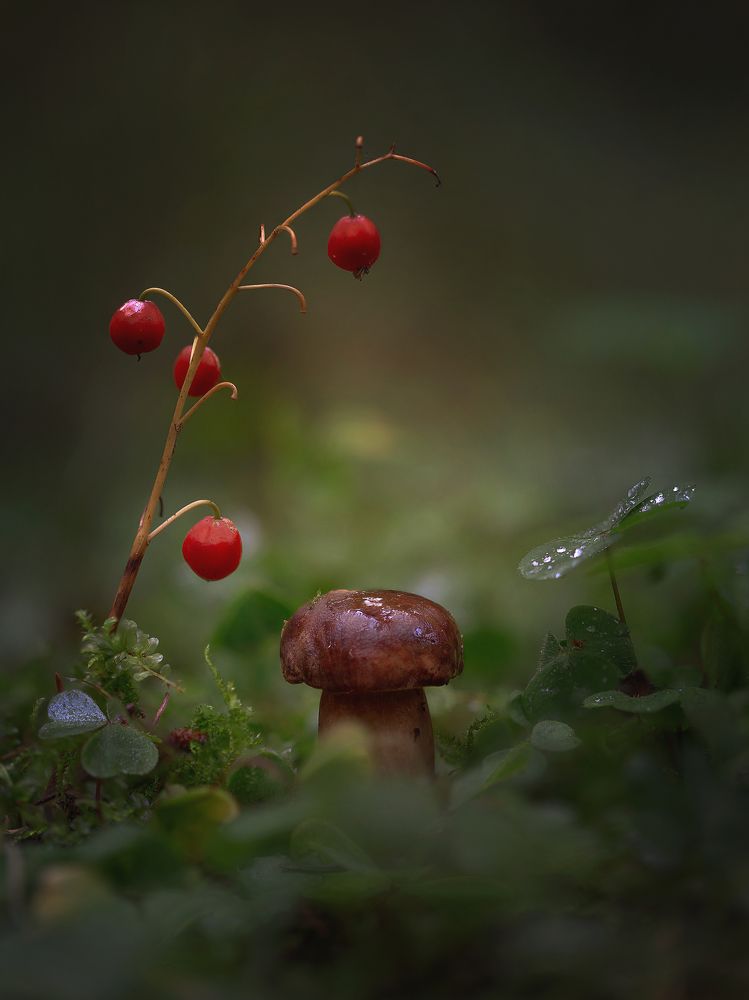 Photograph by Роман Балонкин