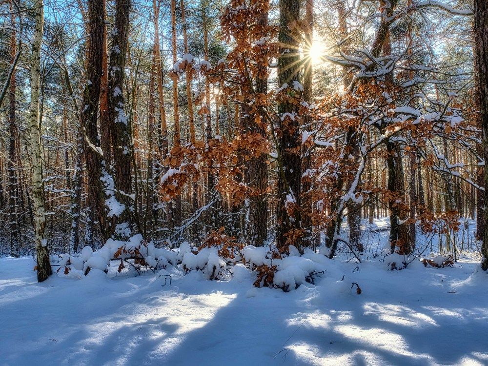 Photograph by Александр