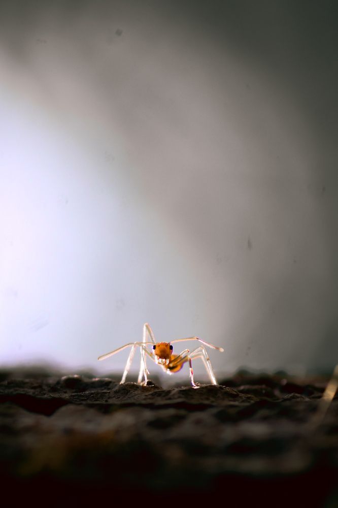 Photograph by Ajay Raj