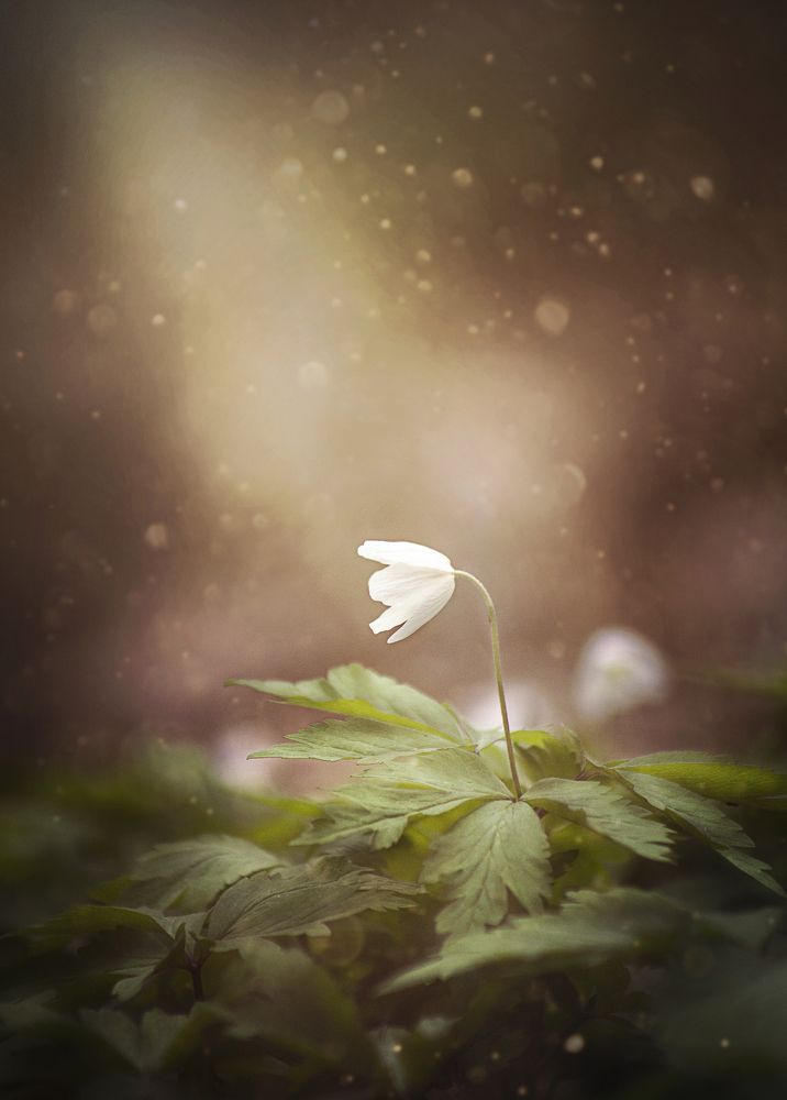 Photograph by Роман Балонкин