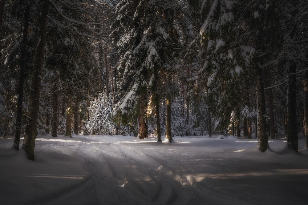 Photograph by Роман Балонкин