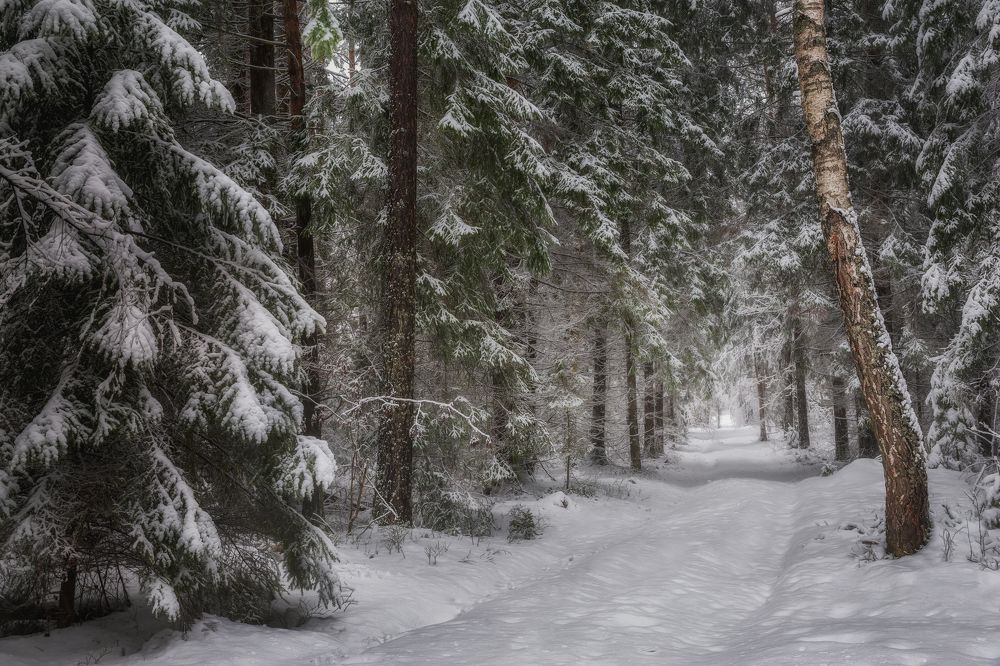 Photograph by Роман Балонкин