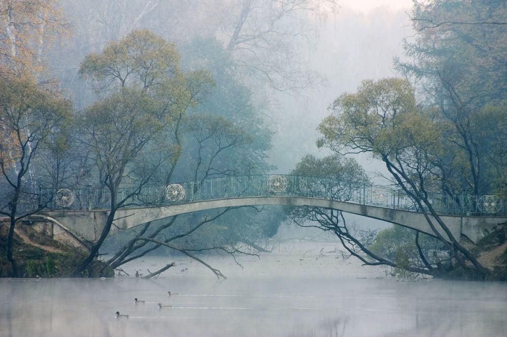 Photo #6924617