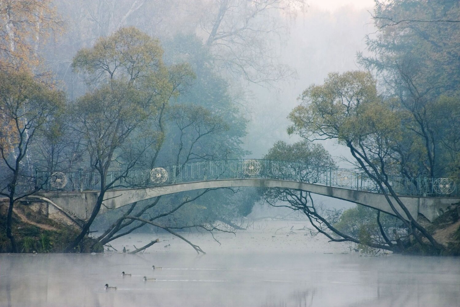 Photo #6924617