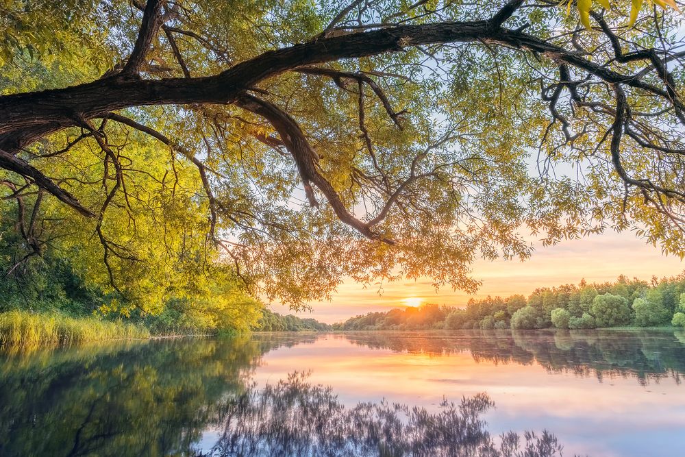 Photograph by Роман Балонкин