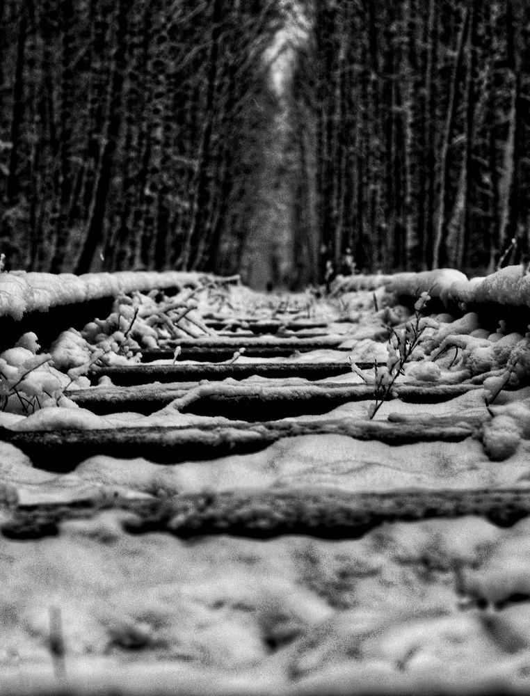 Photograph by Кристина Вингре