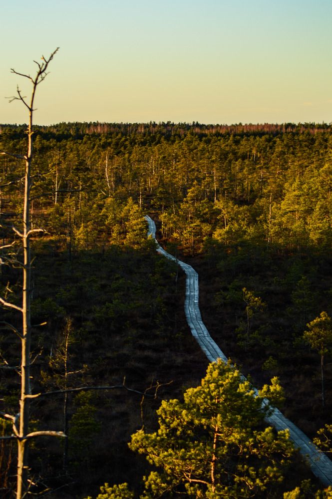 Photograph by Кристина Вингре