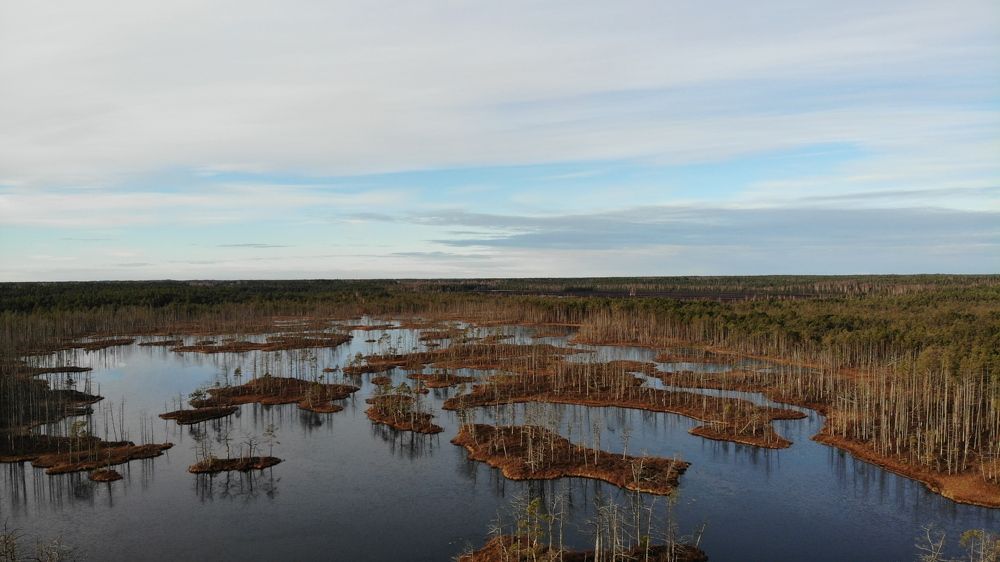 Photograph by Кристина Вингре