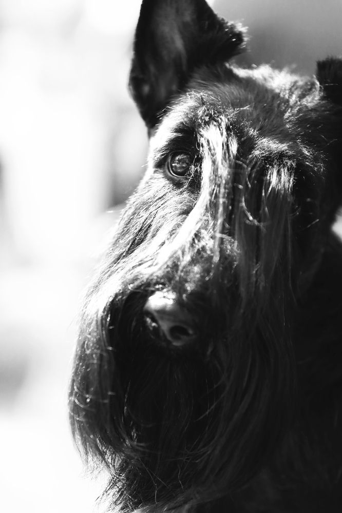 Photograph by Дмитрий Бородин