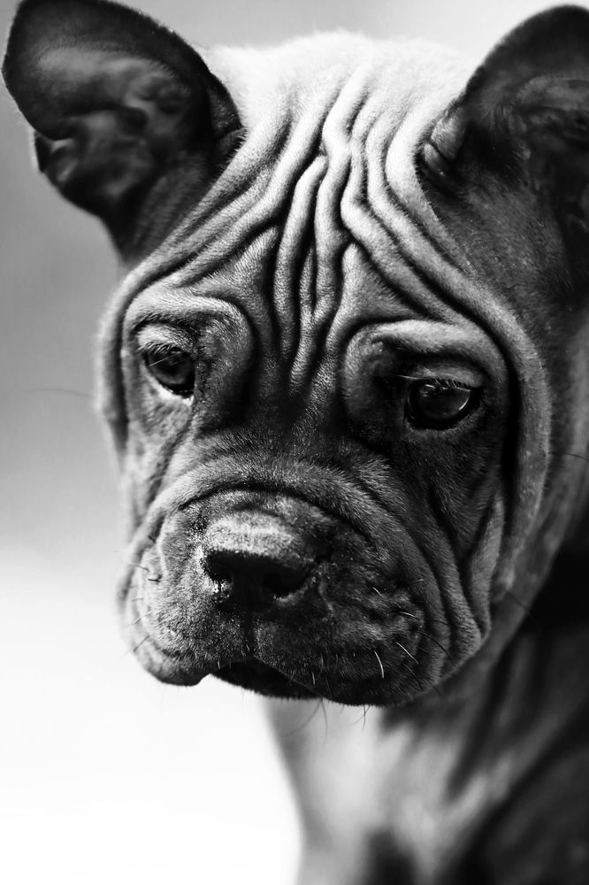 Photograph by Дмитрий Бородин