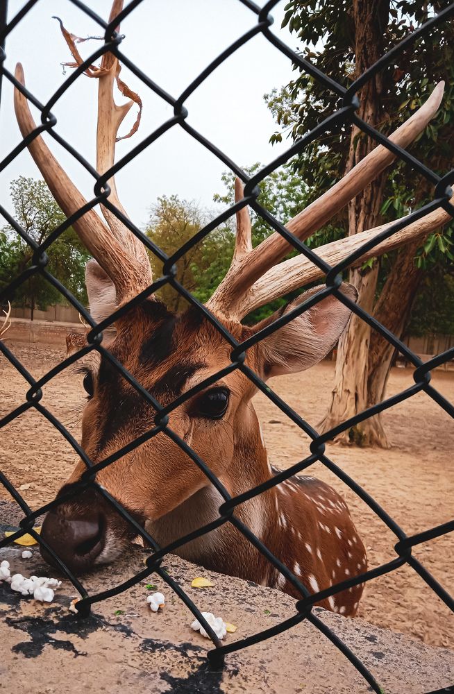 Photograph by Muhammad Fahad Bashir