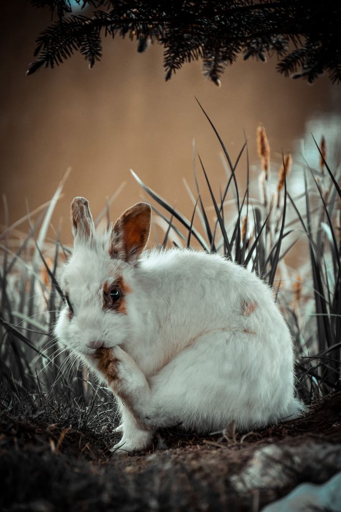 Photograph by Анастасия Гончарова