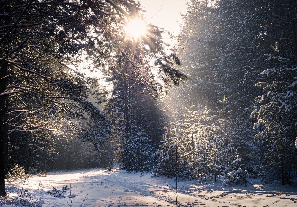 Photograph by Ольга Еженевская