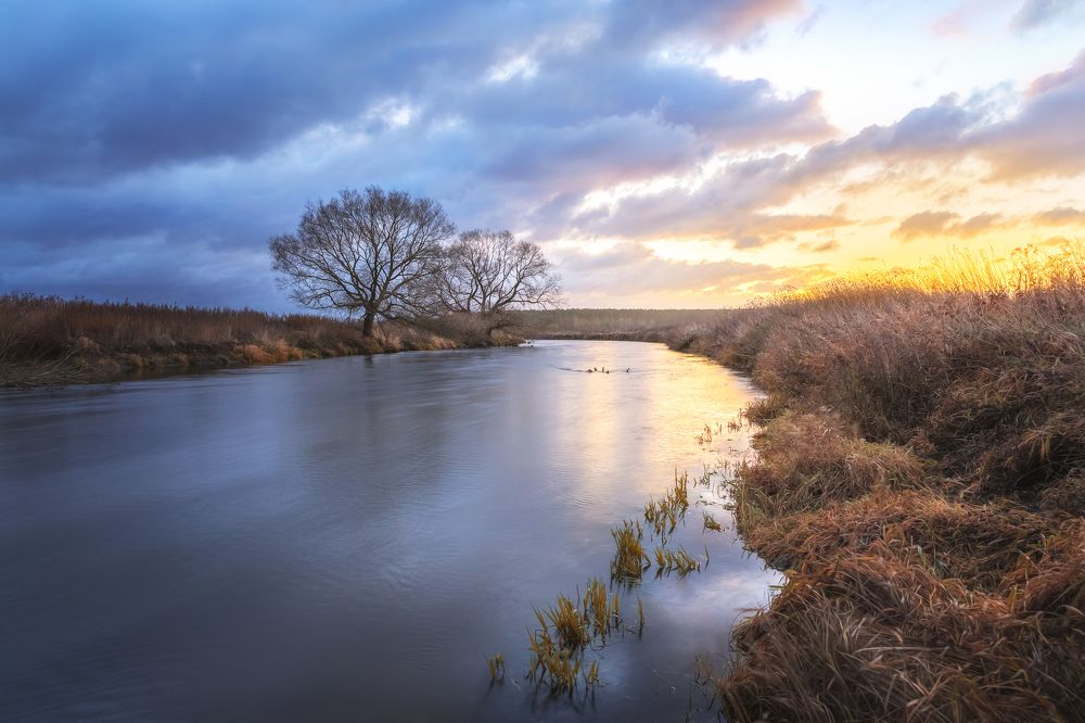 Photograph by Роман Балонкин