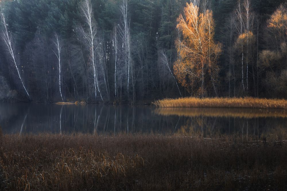 Photograph by Роман Балонкин