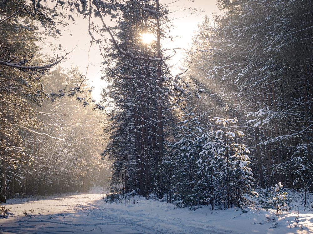 Photograph by Ольга Еженевская