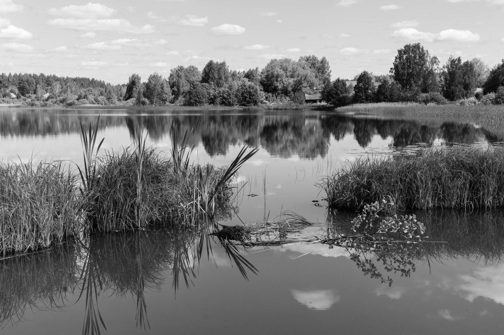 Photograph by Евгений Кузьмин