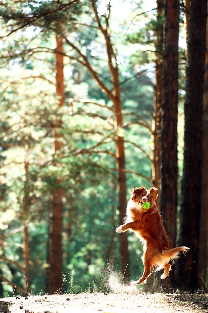 Photograph by Дмитрий Бородин