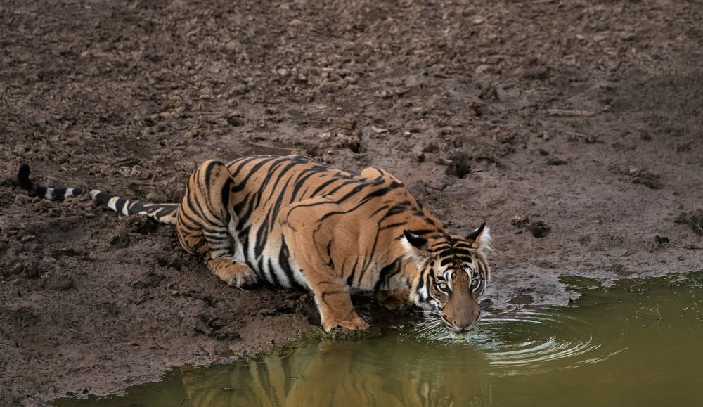 Photograph by Hirish Gowda BR