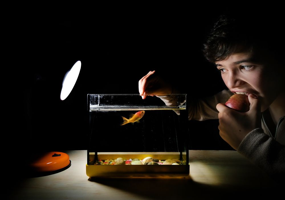 Photograph by Ali Acar