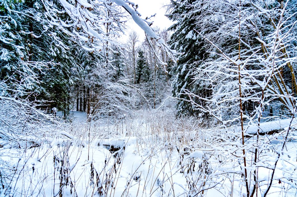 Photograph by Андрей Л