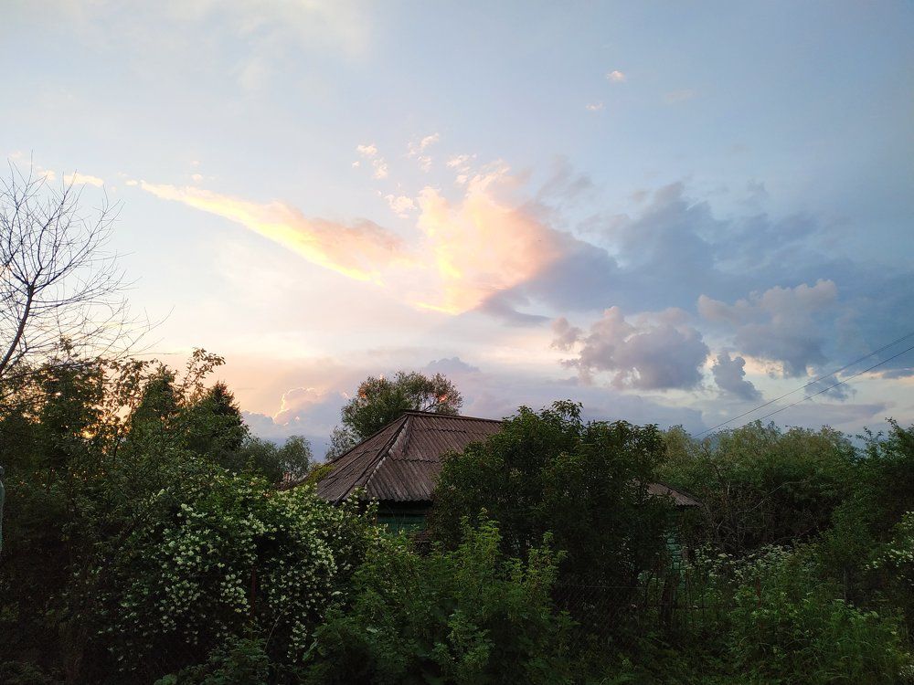 Photograph by Анастасия Суслина