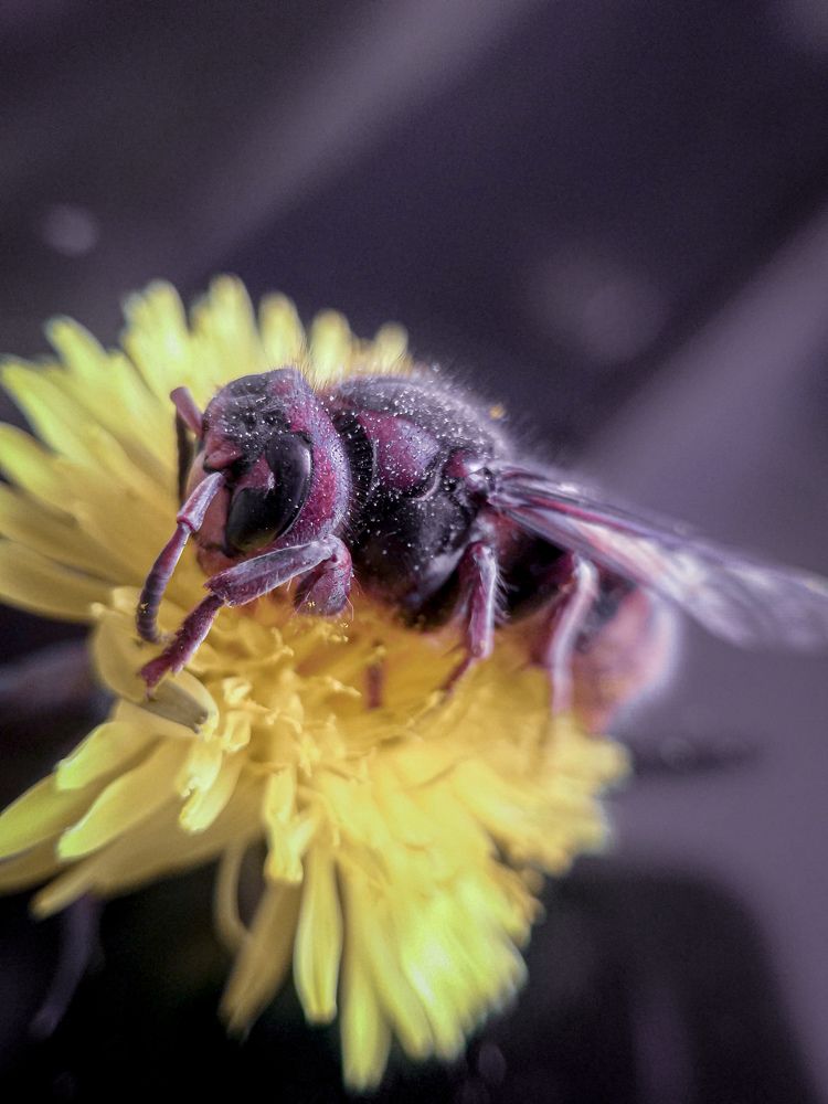 Photograph by Наташа Черепенина